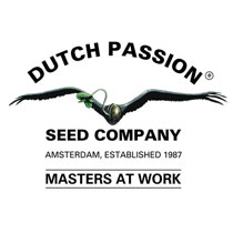 Banco semillas Dutch Passion