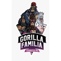Gorilla Familia BSF