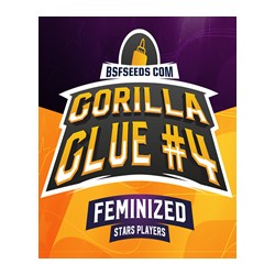 Gorilla Glue # 4 de BSF Seeds