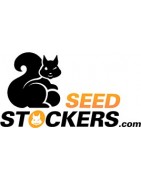 Seed Stockers - semillas económicas de la mejor calidad