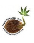 Venta semillas marihuana Emerald Triangle Seeds