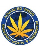 Venta semillas marihuana Advanced Seeds