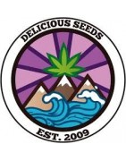 Delicious seeds banco de semillas de marihuana o cannabis