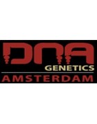 DNA genetics banco de semillas de cannabis