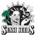 Banco semillas Sensi Seeds